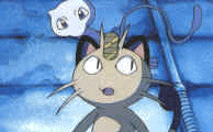 Meowth Picture 4